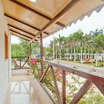 Hotel The Dolphin